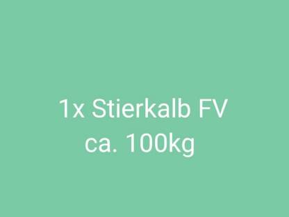 Stierkalb BIO