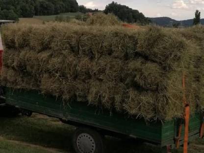 Bild 2:Heuballen Heukleinballen Kleinballen Heu vom 1. Schnitt 2024