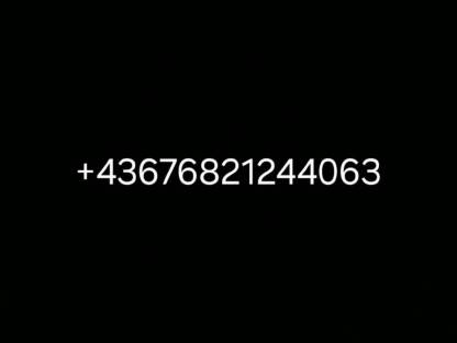 Bild 5:Shetlandpony Wallach