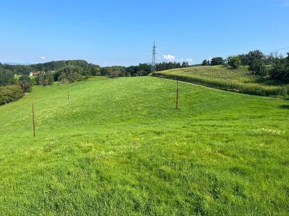 Heuballen