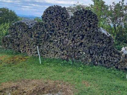 Bild 4:Brennholz weich