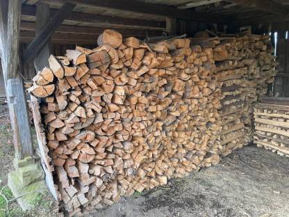 Brennholz