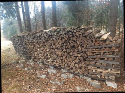 Buchenbrennholz