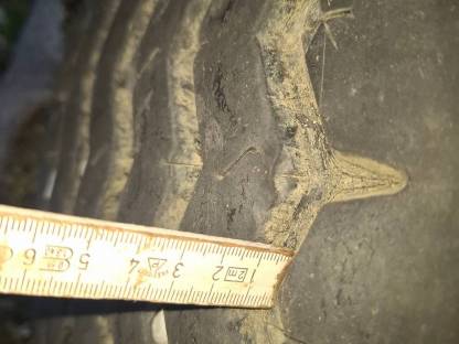 Bild 2:Reifen 425/65R22,5 Yokohama