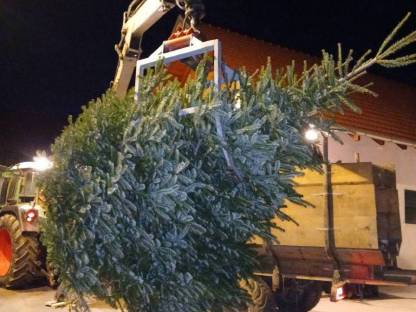 Christbäume