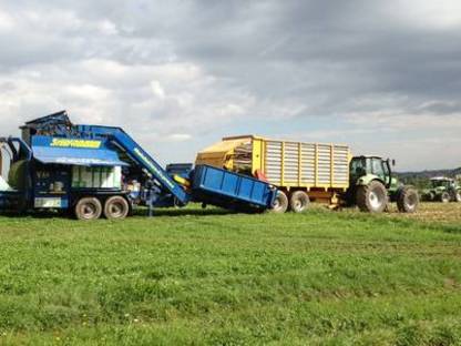 Bild 3:Maispressen: Wir übernehmen das Pressen Ihrer Maissilage!