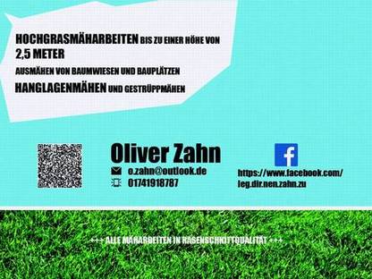 Bild 2:Biete Mulcharbeiten bis 2,5 m Gras und Gestrüpphöhe 