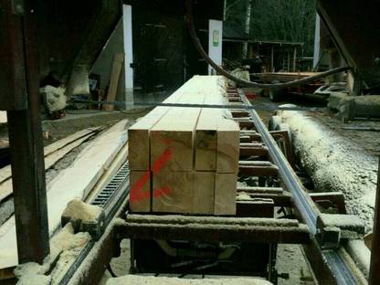 Bild 2:Holzschlägerung und mobiler Lohnschnitt