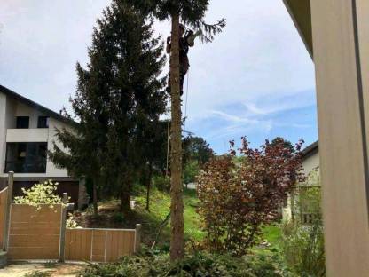 Bild 3:Forst,- und Spezialholzerei