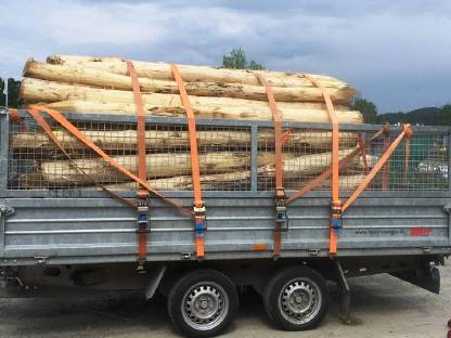 Bild 3:Akazienstecken