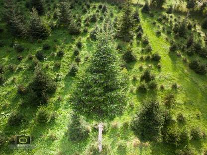 Bild 2:Luftaufnahmen