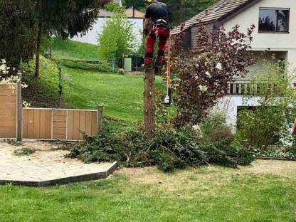 Bild 2:Forst,- und Spezialholzerei