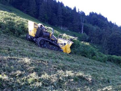 Bild 3:Mulchen bis 55° Hangneigung