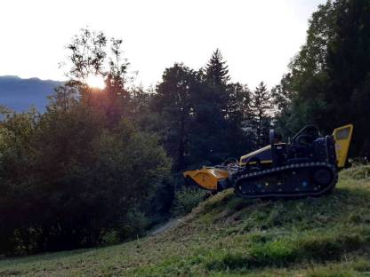 Bild 2:Mulchen bis 55° Hangneigung