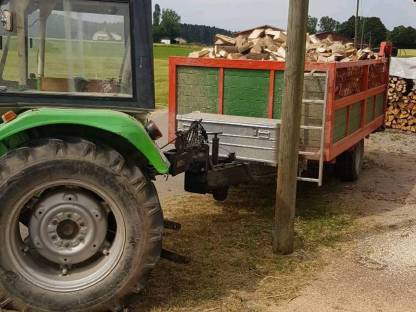 Bild 3:Wald und keine Zeit zum Durchforsten