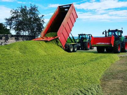 Bild 3:Lohnarbeit verschiedenster Art