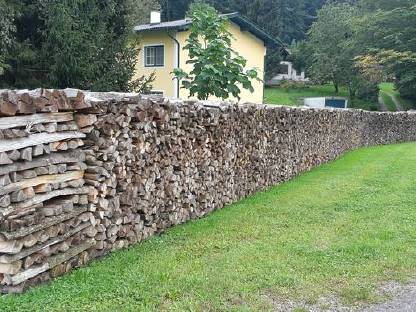 Brennholz Hartholz