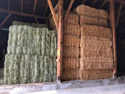 Bild 2:Heu und Stroh