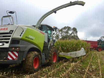 Bild 9:Häckseln | Silieren | Mais | Roggen | Gras | Ganzpflanzen