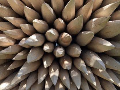 Zaunstecken, Weidepfähle - Vorbestellung 2022