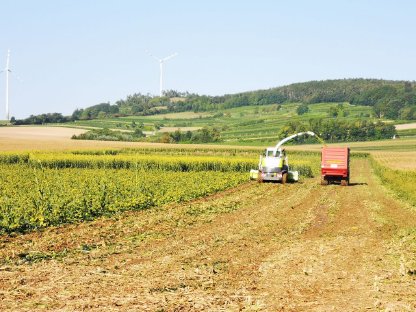 Bild 3:Übernehme Mais-, Gras- und GPS-Ernte / Häckseln