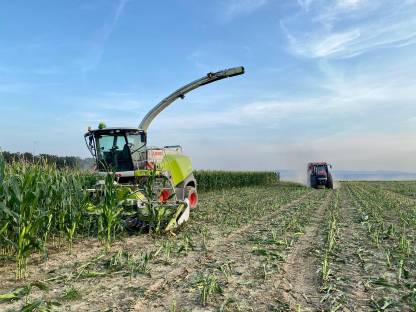 Bild 6:Häckseln | Silieren | Mais | Roggen | Gras | Ganzpflanzen