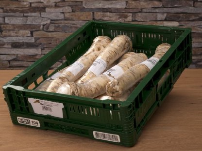 Bild 2:Kren / Meerrettich - 1. Klasse gewaschen, foliert