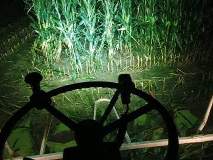 Bild 4:Mais und Grashäkseln 8 Reihig  Claas Jaguar 840 Kärnten