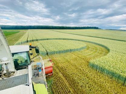 Bild 4:Häckseln | Silieren | Mais | Roggen | Gras | Ganzpflanzen