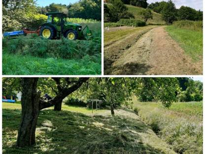 Bild 3:Professionelle Mäh- und Mulcharbeiten - Grünraumpflege