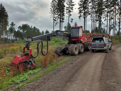 Bild 3:Durchforstung, Stockkauf, Transport
