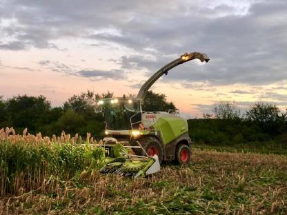 Bild 5:Häckseln | Silieren | Mais | Roggen | Gras | Ganzpflanzen