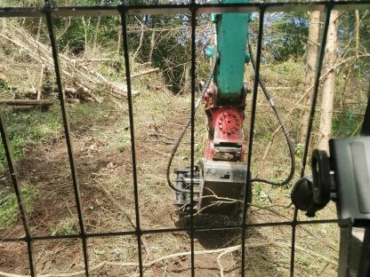 Bild 3:Holzschlägerung, Holzrückung, Rodungsarbeiten