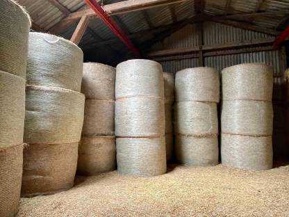 Verkaufe Heu Rundballen