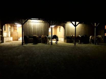 Bild 4:Paradies für Pferde, Ponys und Besitzer