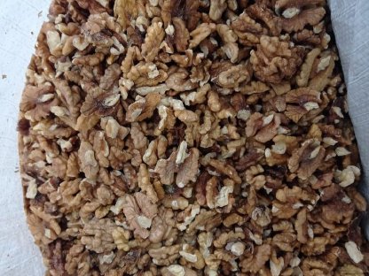 Bild 2:Frisch geschälte Walnüsse aus er Slowakei ab 6,95