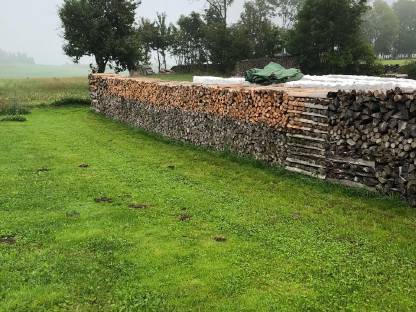 Brennholz
