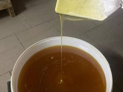Honig aus Masuren