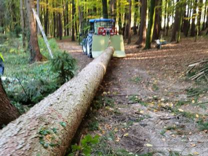 Bild 2:Diverse Forstarbeiten