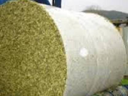 Maissilageballen