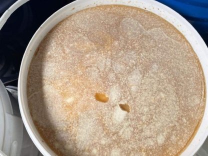 Bild 3:Honig aus Masuren