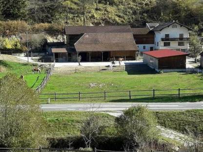 Bild 3:Paradies für Pferde, Ponys und Besitzer