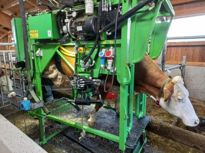 Bild 6:Klauenprofi - zertifizierte Huf- und Klauenpflege