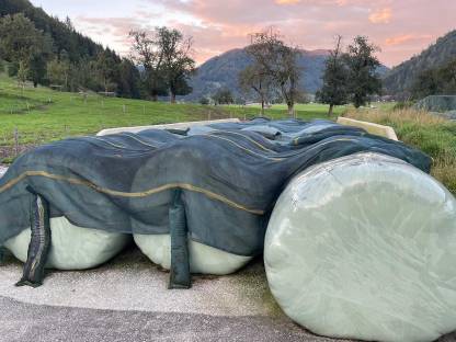 Siloballen 1. Schnitt 2025