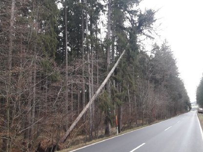 Bild 3:Suchen selbständige Arbeitskraft