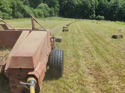 Bild 3:Klein Heuballen