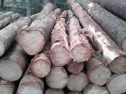 Bild 2:Suchen selbständige Arbeitskraft