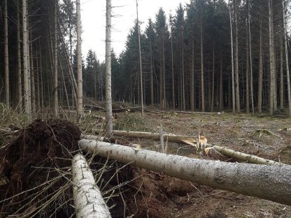 Bild 4:Suchen selbständige Arbeitskraft
