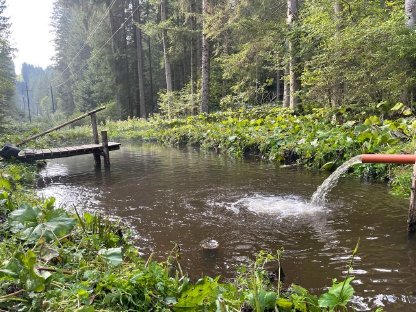 Pacht Fischteich zu verpachten kaufen