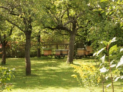 Bild 3:Bio Honig aus dem Kamptal